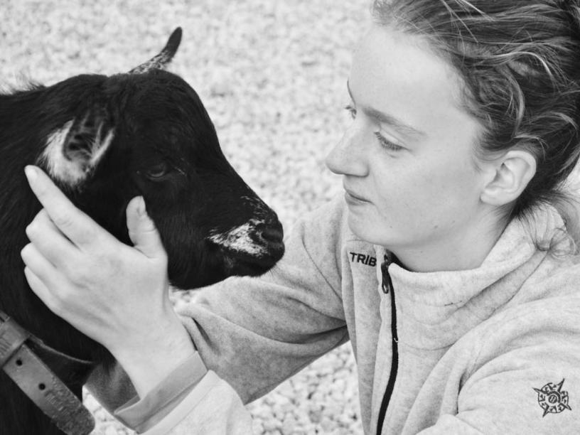 Senderismo con Cabras en Fuerteventura