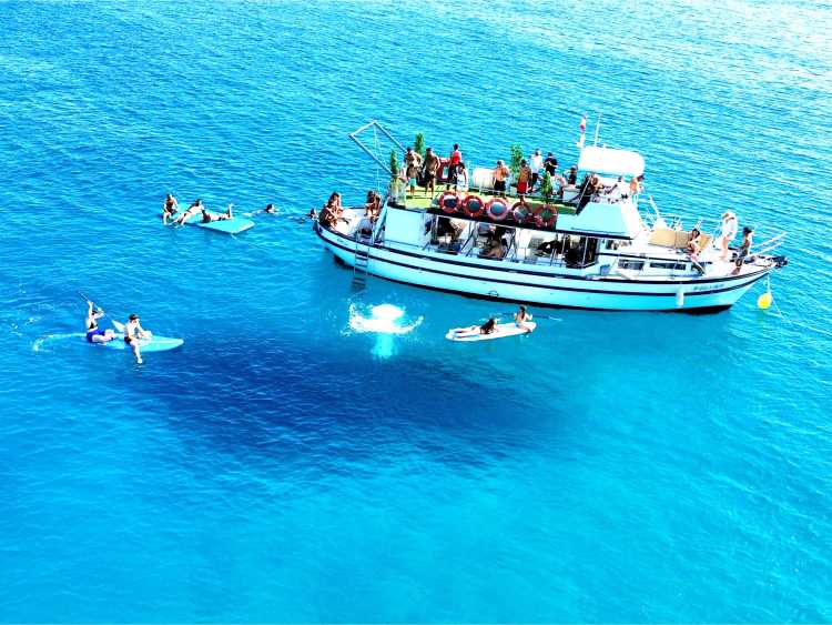 Diversón & Delfines en Fuerteventura