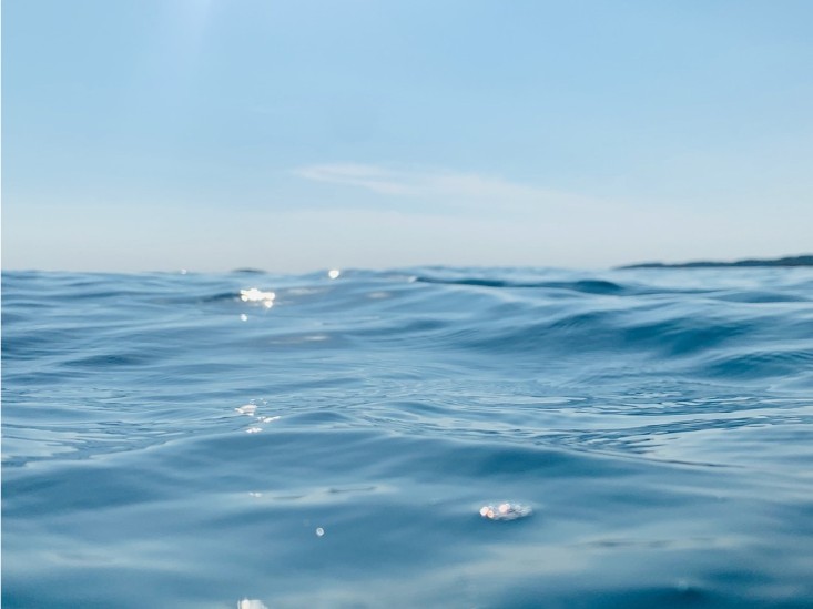 Diversón & Delfines en Fuerteventura