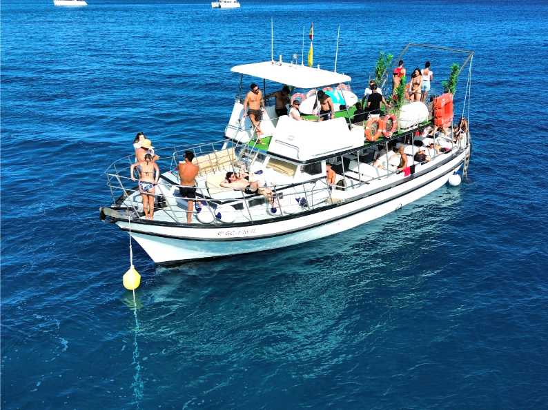 Diversón & Delfines en Fuerteventura