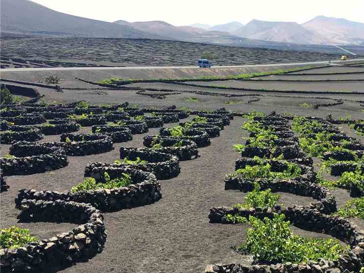 Excursión de un día Fuerteventura a Lanzarote