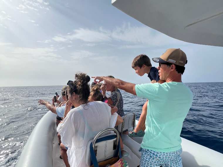 Avistamiento de Delfines y Ballenas en Morro Jable Fuerteventura